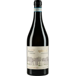 SPINELLI PECORINO SUP. 2024 CL.75