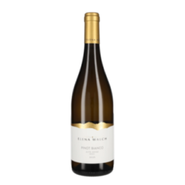 ELENA WALCH PINOT BIANCO 2025 CL.75