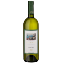CUOMO FURORE BIANCO 2023 CL.75