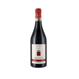 FERRARA GRECO DI TUFO TERRA D'UVA 2021 CL.75