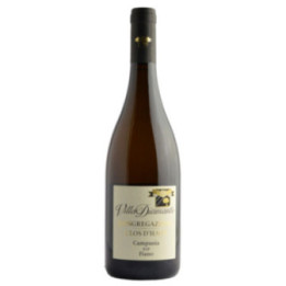 VIGNA CONGREGAZIONE FIANO DI AVELLINO 24 CL.75