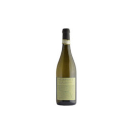 VADIAPERTI FIANO DI AVELLINO 2023 CL.75