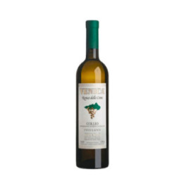 VENICA RONCO DELLE CIME 2025 CL.75
