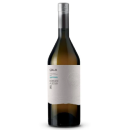 KOMJANC COLLIO SAUVIGNON 2024 CL.75