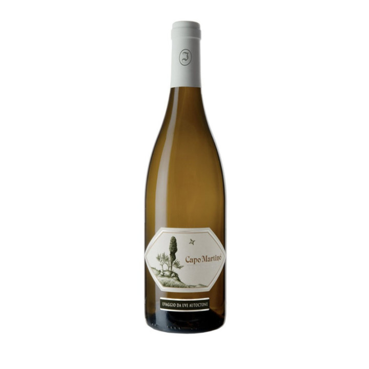 JERMANN CAPO MARTINO '2017 CL.75