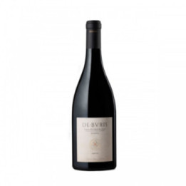 DE BURIS TOMMASI AMARONE DELLA VALP. RIS. 2008 CL.75
