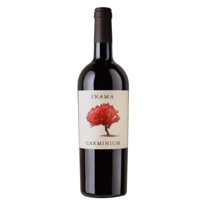 INAMA CARMINIUM CARMENERE 2021 CL.75