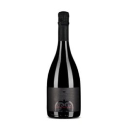 ALESSANDRO DI CAMPOREALE METODO CLASS 20 CL.75