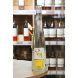 PILZER ACQUAVITE DI ALBICOCCHE CL 50
