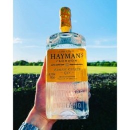 HAYMANS EXOTIC CITRUS GIN CL.70