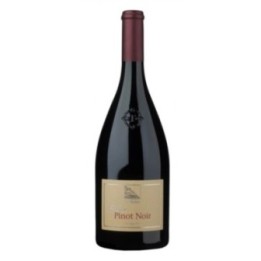 GOTTARDI PINOT NERO 2020 CL. 75